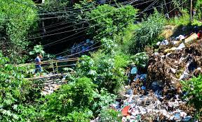 Fotos La Vida Entre Basura De La Chacarita Planeta Futuro El Pais