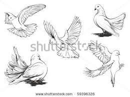 Image Result For Releasing Dove Hand Dove Drawing Bird Drawings Dove Tattoo Design