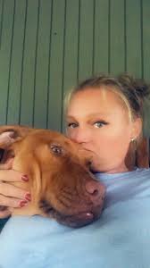 Meet Simba my red nose pittie