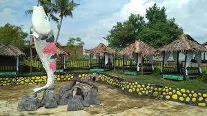 Tempat Wisata Baru Black Rose Di Kota Lhokseumawe New Tourist Spot Black Rose In Lhokseumawe Town Steemit