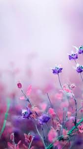Flowerstagram Hashtag Instagram Posts Videos Stories On Instawebviewer Com Purple Flowers Wallpaper Flower Wallpaper Flower Backgrounds