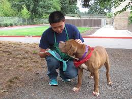 Broadening their perspectives