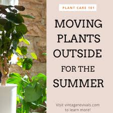 Then read more for a post filled with inspiration and tips on how to create a timeless modern industrial look in your house. Projects Vintage Revivals