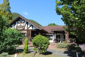 柴犬マイア - FC2