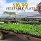 Vegetable Flats Sale