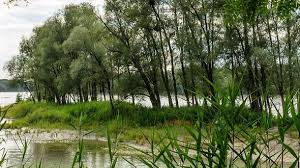 Deutschland kann sich mit einem weiteren neuen welterbe schmücken. Geschichte Donau Limes Wird Weltkulturerbe Wiener Zeitung Online