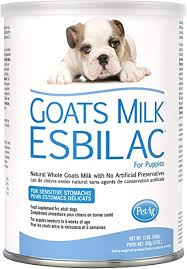 You can make our formula at home. Amazon Com Petag Goat S Milk Esbilac Powder 12oz Pet Milk Replacers Pet Supplies