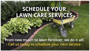 Plans tailored just for you ensure lawn care service that keeps your lawn beautiful and healthy, no matter what. Kansas City Lawn Care And Landscaping Services Benjamin Lawn Landscape
