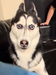 Today is my birthday and I'm waiting for your wishes 🎂❤️