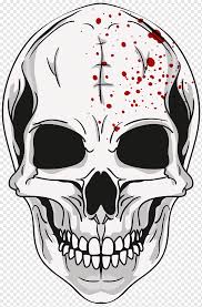 Ini terdiri dari banyak tulang, dibentuk oleh osifikasi intramembran, yang disatukan oleh jahitan (sendi berserat). Ilustrasi Tengkorak Putih Calavera Skull Halloween Skull Selamat Halloween Wajah Kepala Png Pngwing