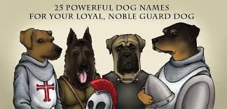 Hello friend, today we are going to see the different dog names, so i hope that you will like it very much to give us this list and the names that you like, do not tell us in the comment, tell us who you are i liked the name from. 40 Powerful Dog Names For Your Loyal Noble Guard Dog Pethelpful
