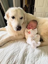 September days with Rosie- first two weeks of life with our ...