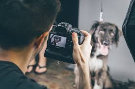 It will depend on the recruiter when you will hear back after applying. Guide To Hire The Best Pet Photographer Near You I Host Photos