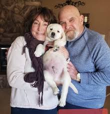 If you pay full price for a puppy you'll get. Lab Puppies Southern California