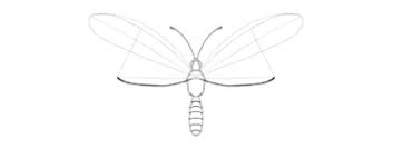 3d drawings is an amazing form of art, where the 3d pencil drawings seem to literally jump off the page. How To Draw A Butterfly Step By Step