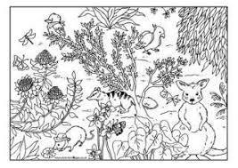 Australian Animal Colouring Pages Animal Coloring Pages Australian Animals Animals Images