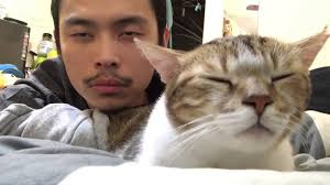 Oleh itu, sebagai pencinta kucing, anda patut tahu jenis baka kucing yang comel. Banyak Manfaat Lelaki Bela Kucing Antaranya Boleh Kekalkan Bentuk Badan Atasi Stres Maskulin