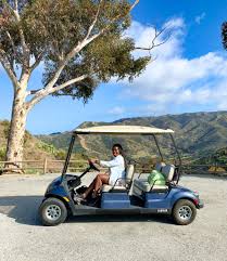 It's easy to rent and drive a golf cart around avalon and catalina island, california. Best Place To Rent A Golf Cart On Catalina Island