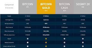 This is the key difference between what any bitcoin price prediction 2020 may have held compared to 2021. Bitcoin Gold Btg Explanation And Price Prediction For The Next 5 Years 2020 2025
