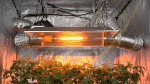 We did not find results for: Vscr6000 Virtual Sun Open Cool Tube Grow Light Hood Youtube