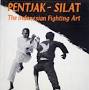Indonesian martial art pencak silat from www.amazon.com