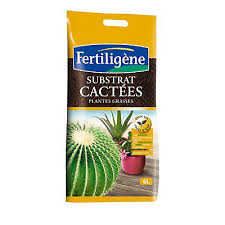 Substrat Cactees Plantes Grasses Fertiligene 6l Castorama