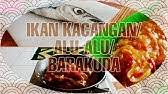 #barakudamonster #barakuda #spotbarakuda #umpanbarakuda #monstergigitajam #spotpinggiran #deedydexchannel #spotterbaikmancinglele. Cara Memasak Ikan Baracuda Bumbu Asem Pedas Youtube