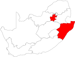 جائحة فيروس كورونا في جنوب أفريقيا 2020 ويكيبيديا