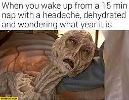 When You Wake Up From A 15 Min Nap With A Headache Dehydrated And Wondering What Year It Is Starecat Com