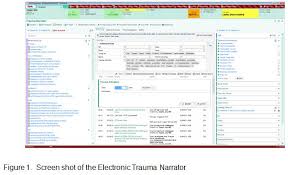 successful implementation of electronic trauma documentation