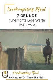 Mich würde aber interessieren, wann man reagieren müsste, bzw. Episode 29 Lebererkrankungen Kernkompetenz Pferd Pferd Pferde Pferdefutter