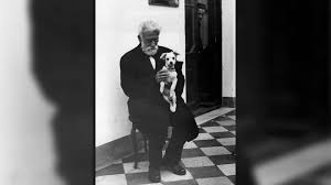 Hoy, en argentina, se celebra el día del animal. Dia Del Animal En Argentina Por Que Se Celebra El 29 De Abril Infobae