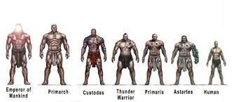 Primaris space marines are the next step in the evolution of the emperor's space marines. Primaris And Marines Comparison Forum Dakkadakka Roll The Dice To See If I M Getting Drunk