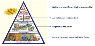 We did not find results for: Food Pyramid For Kids Pediasure India