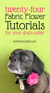 Making your own dog booties can be fun (and save you a few bucks), but special care must be taken to ensure you end up with something safe that will last. 24 Fabric Flowers To Brighten Up Your Dog S Collar Kol S Notes