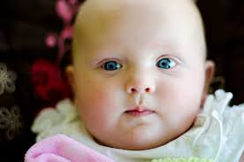 mckenzie hansen photography