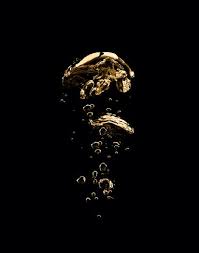 Aesthetic Black And Gold Pictures Anthony Cotsifas For Dior Black And Gold Aesthetic Gold Aesthetic Gold Art