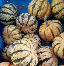 Originally from thelma sanders of kirksville, missouri. The Definitive Guide To Buying And Cooking Winter Squash Portland Monthly