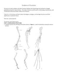 Free football coloring pictures worksheet marvelous for kids. Evidence Of Evolution Background Much Evidence Has Been Found