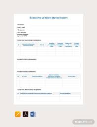 An executive summary is a brief report highlighting important items of a project. Executive Report Template 15 Free Sample Example Format Download Pdf Word Apple Pages Free Premium Templates