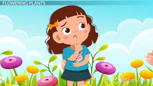 They generally have a large number of leaves. Flowering Nonflowering Plants Lesson For Kids Science Class 2021 Video Study Com