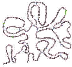 Image result for Tenecteplase