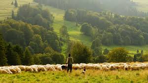 Maybe you would like to learn more about one of these? The Power Of Psalm 23 In Your Life Jimthefollower Com