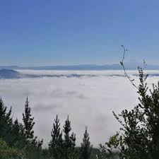Es un lago situado en la comuna cunco, provincia de cautín, región de araucanía, chile. Lungolago Di Colico Lake Como Tourism Guida Turistica Del Lago