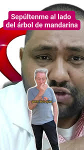 Photo by Cardiologia/Terapia intensiva. (@cardiologiaterapiaintensiva) ·  August 27, 2024