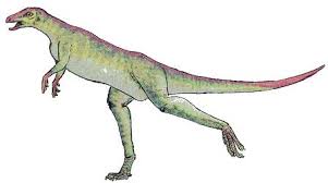 A compilation of the best lesothosaurus illustrations, facts, fossils, and maps. Lesothosaurus Dinosaur Pictures Pictures Of Lesothosaurus