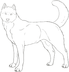 Dogs are some of the most beloved pets for us to have around. Download Coloring Pages Of Huskies Dogs Coloring Pages Realistic Husky Full Size Png Image Pngkit
