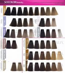 Image Result For Matrix Hair Color Swatch Book In 2019