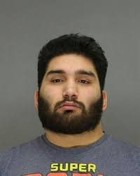 Howard animal neglect: man left dogs in cold, let lizard die, police say