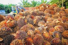 B+ should i invest in felda global ventures holdings berhad stock? Felda Global Ventures Holdings Archives The Fifth Person